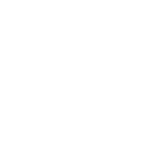 AdvisedInsured Logo
